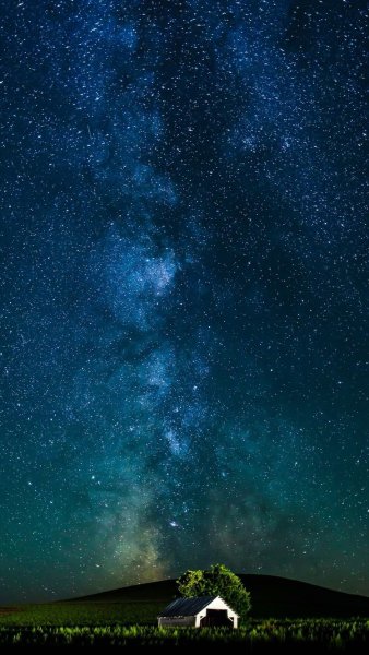 Млечный путь над лесом