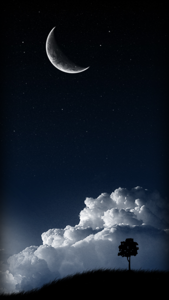 Ночное небо