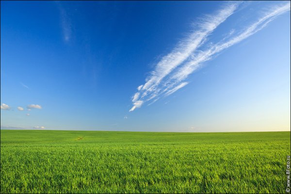 Голубое небо и земля