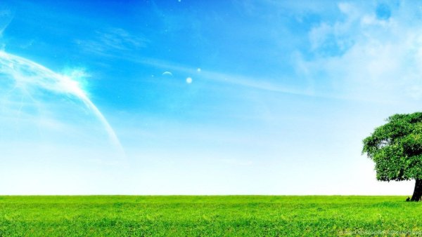 Поляна и голубое небо