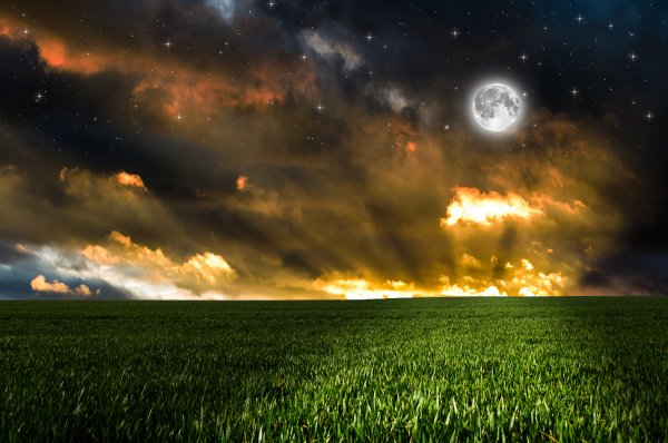 Природа земли