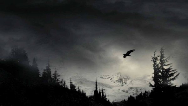 Вороны ночью