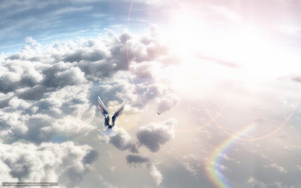 Ангелы летают