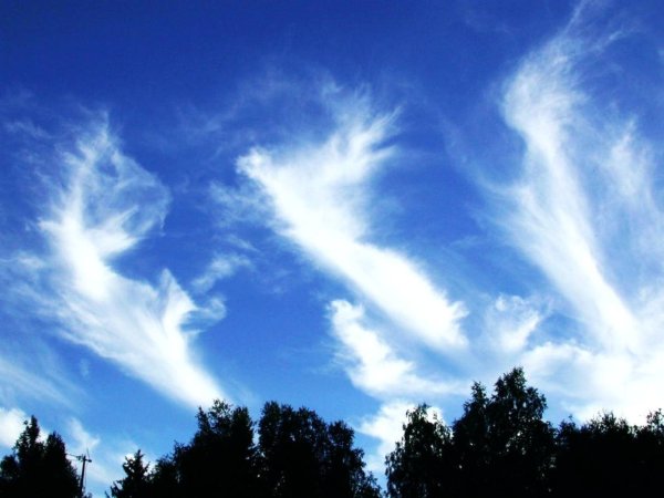 Ангелочек в небе