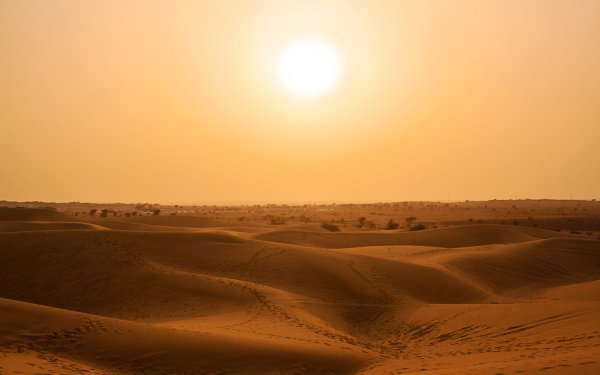 Дехна пустыня