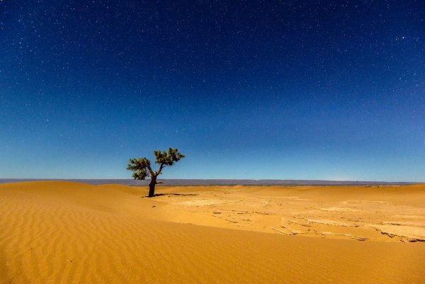 Марокко сахара