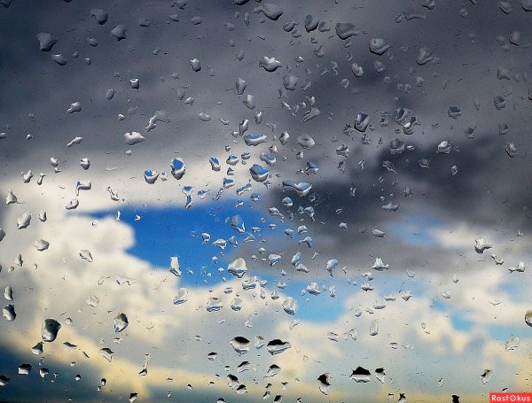 Слезы на стекле