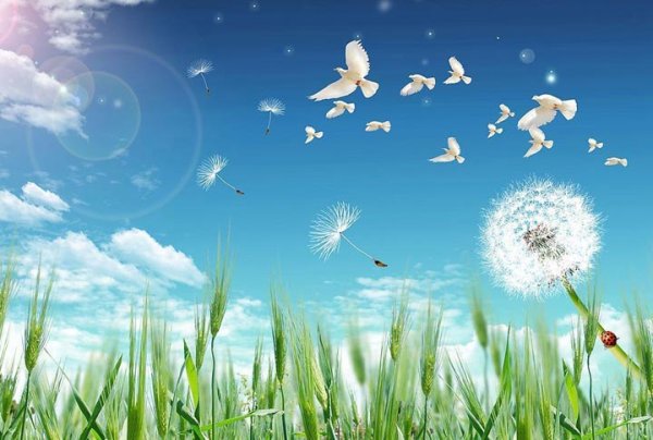 Природа мирное небо