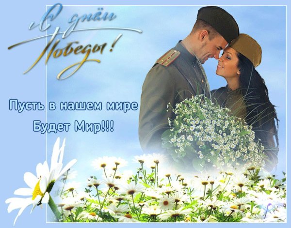 Поле ромашек