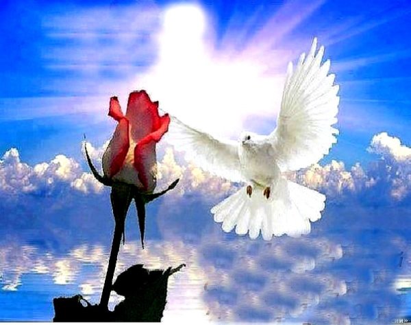 Мальчик с голубем