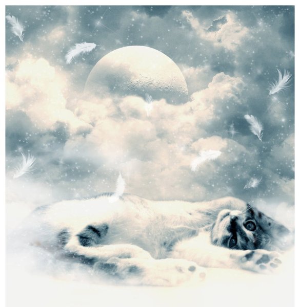 Котик облачко