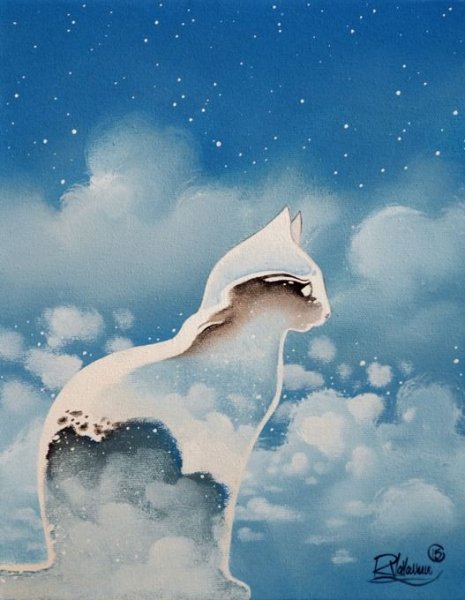 Небесный кот