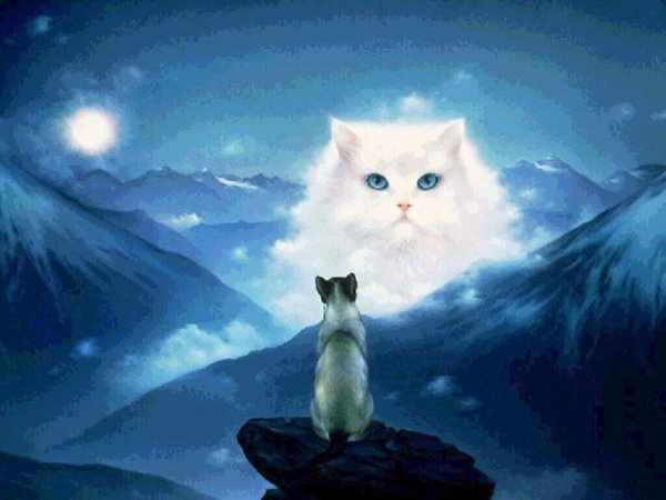 Облако кошка