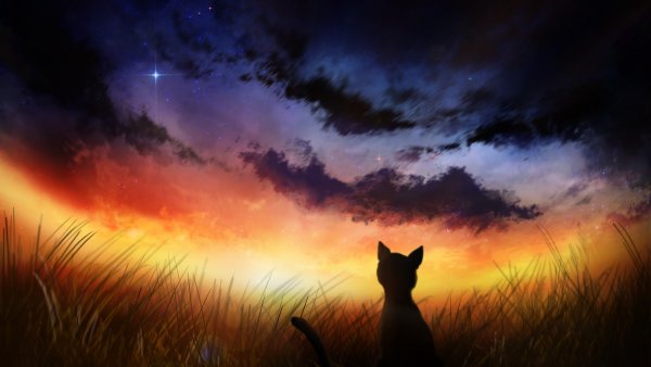 Мост радуги