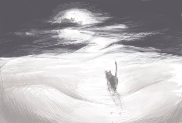 Кошка и звезды