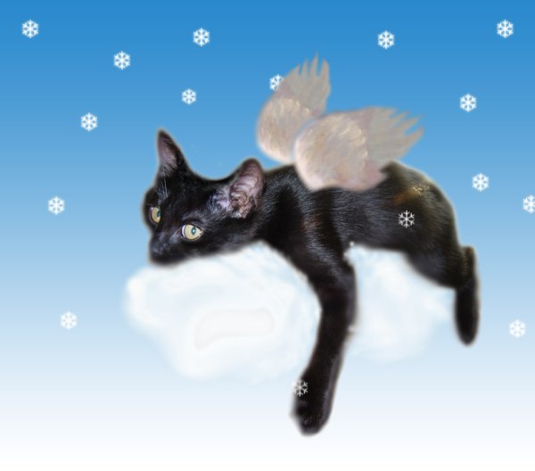 Облако в виде кота