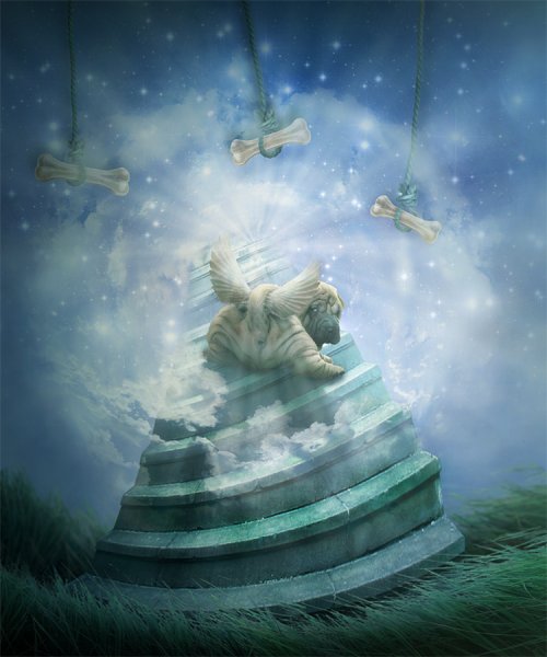 Кошечка на радуге