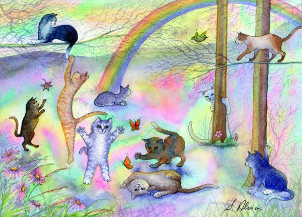 Котик облачко