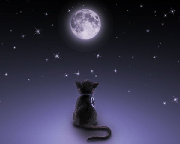 Мост радуги