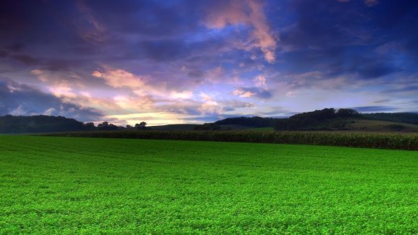 Зеленая природа