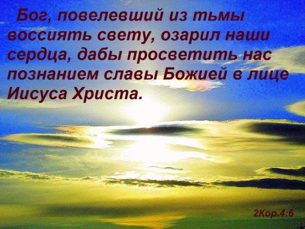 На том берегу моря