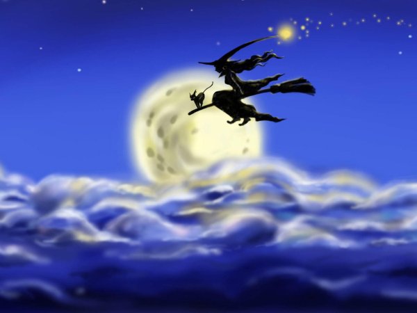 Метла ведьмы