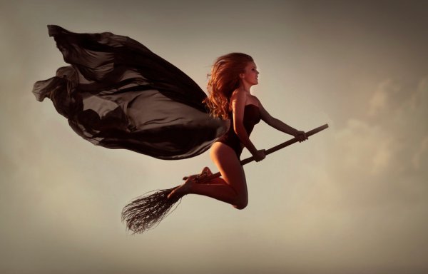 Метла ведьмы