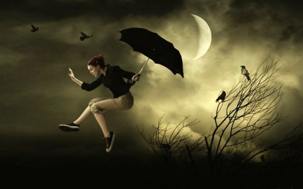 Чудовище в небе