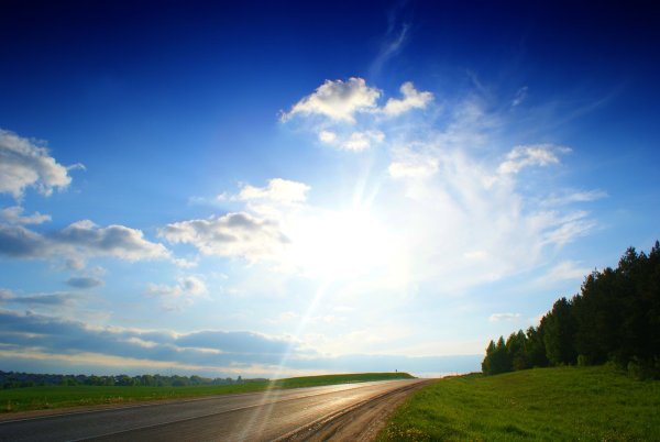 Лето васильки