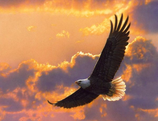 Парящий Орел