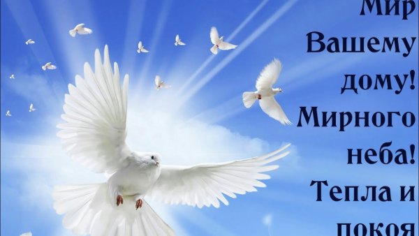 Голубь мира