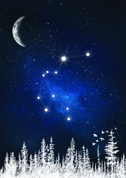 Созвездия ночью