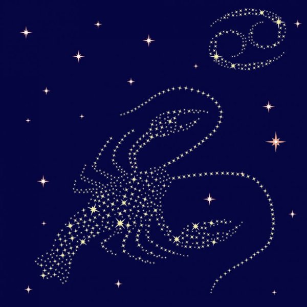 Звездное небо знаки зодиака вектор