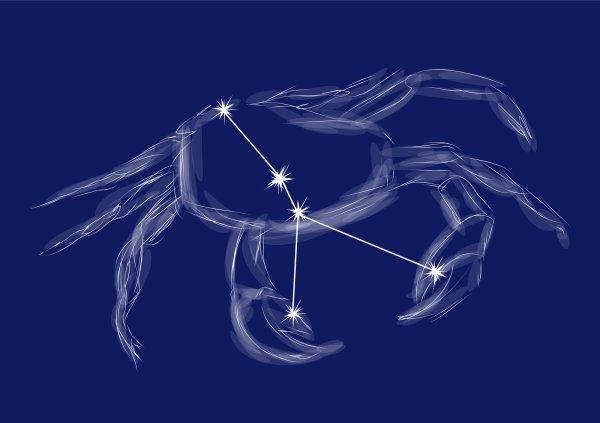 Созвездия знаков зодиака на черном фоне