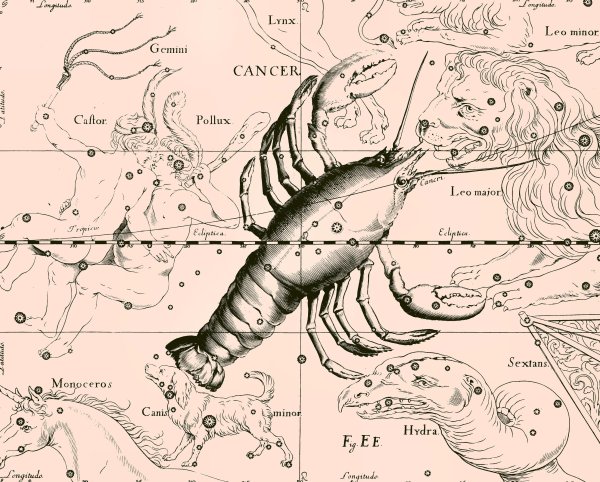 Знак зодиака рок на небе