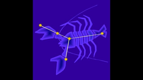 Созвездие осла