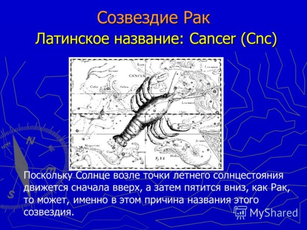 Сведения о созвездиях