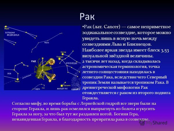 Южный крест и большая Медведица