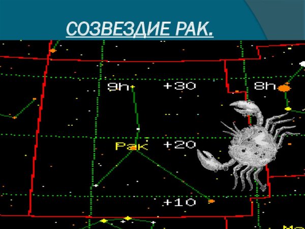 В̶о̶р̶о̶в̶с̶к̶а̶я̶ з̶в̶е̶з̶д̶а̶