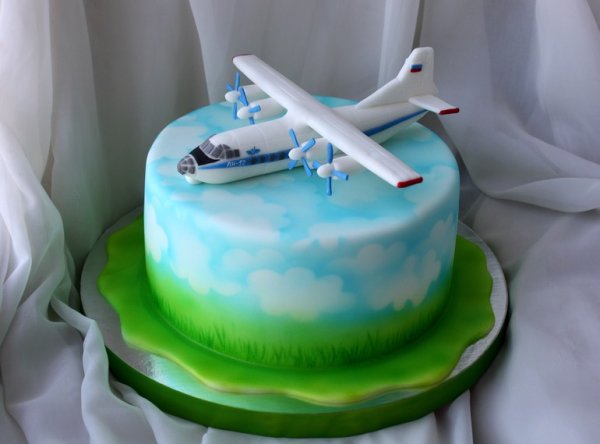 Торт с самолетом