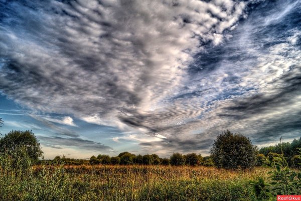 Мэтт Моллой