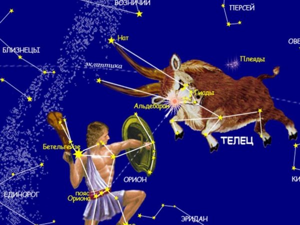 Созвездия Персей Кассиопея Андромеда