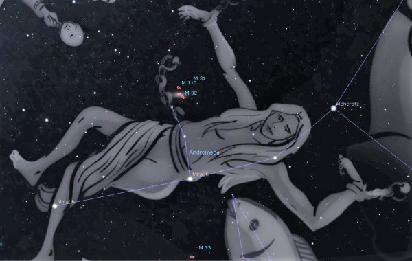 Волк (Lupus) созвездия