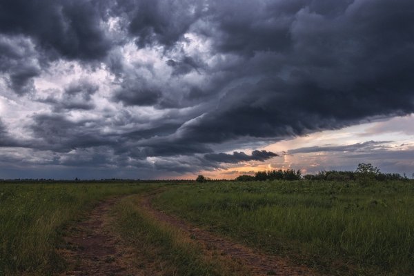 Перед грозой
