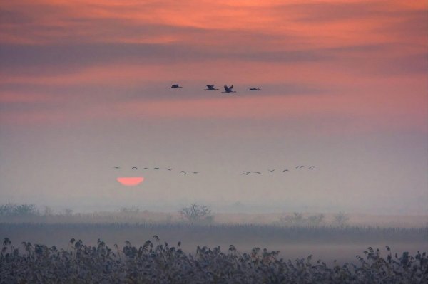 Журавлиный Клин осенью