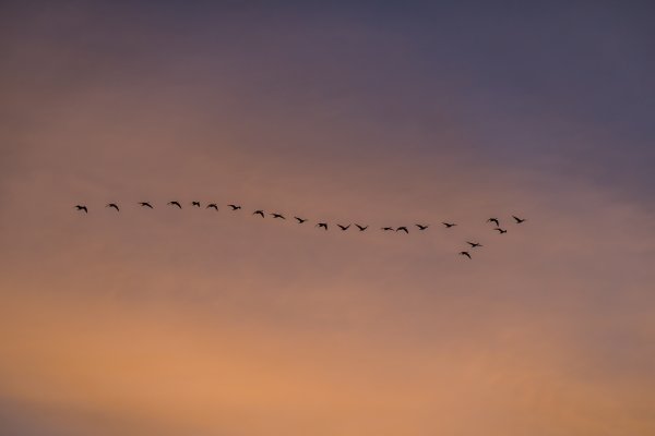 Журавлиный Клин осенью