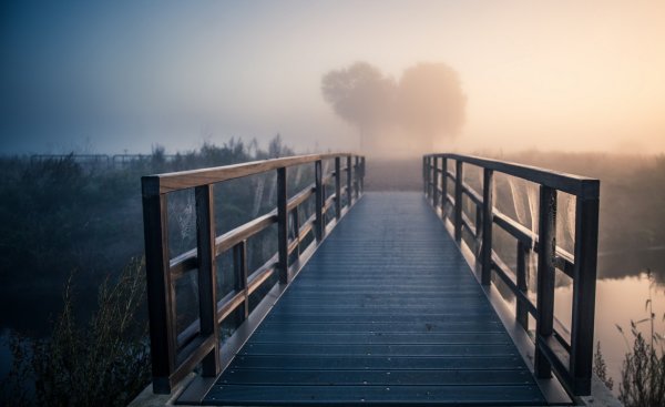 Подвесной мост в тумане