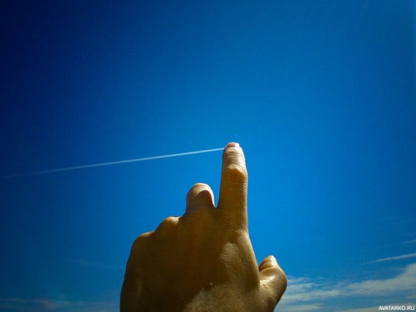 Пальцем в небо
