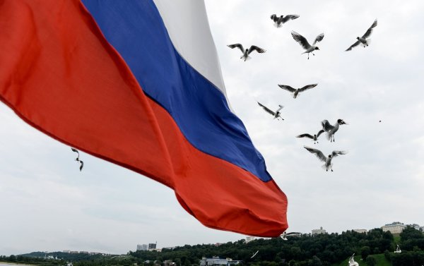 Триколор флаг