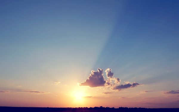 Березы на фоне голубого неба